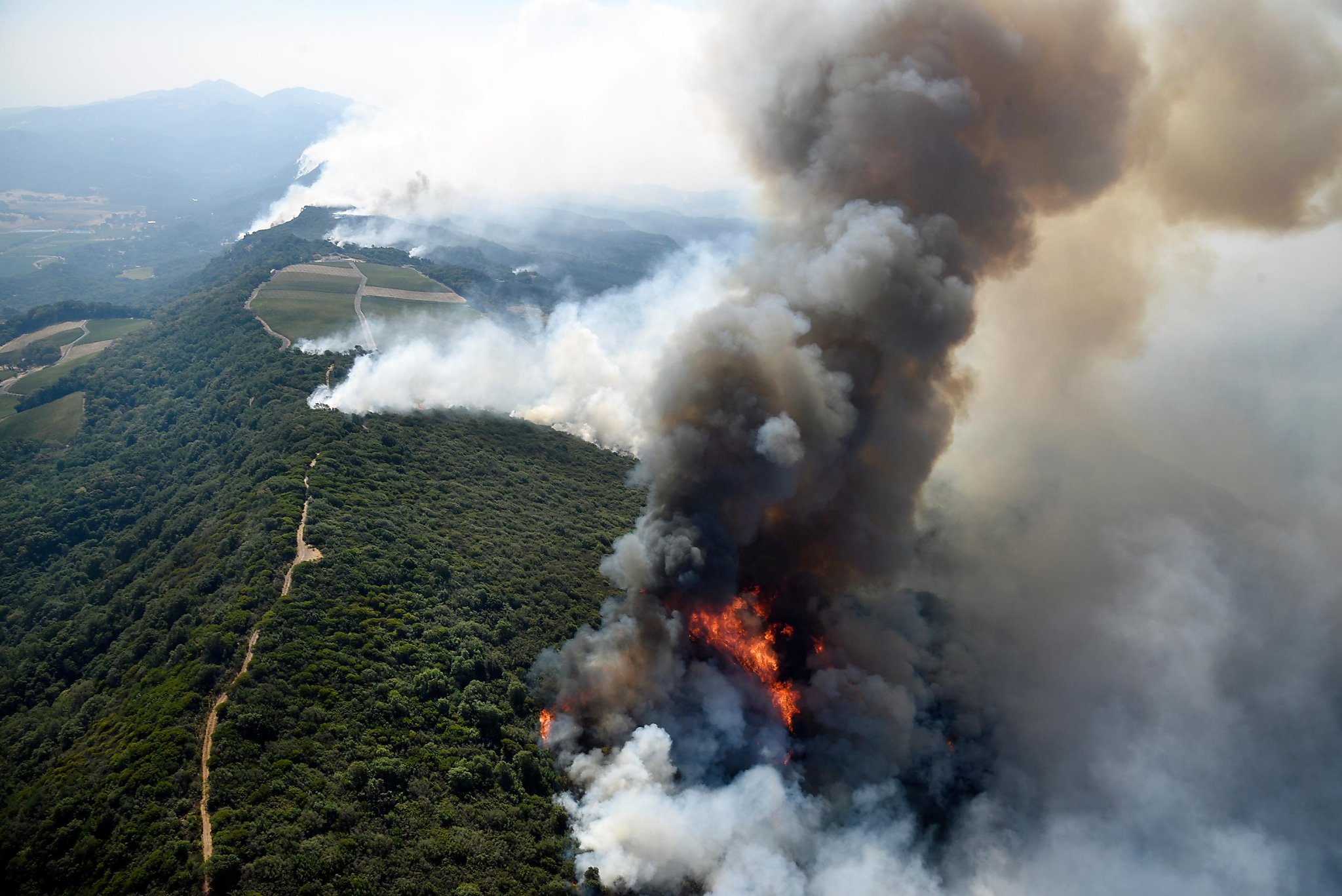 Legislature passes bill to help protect PG&E from wildfire damage suits