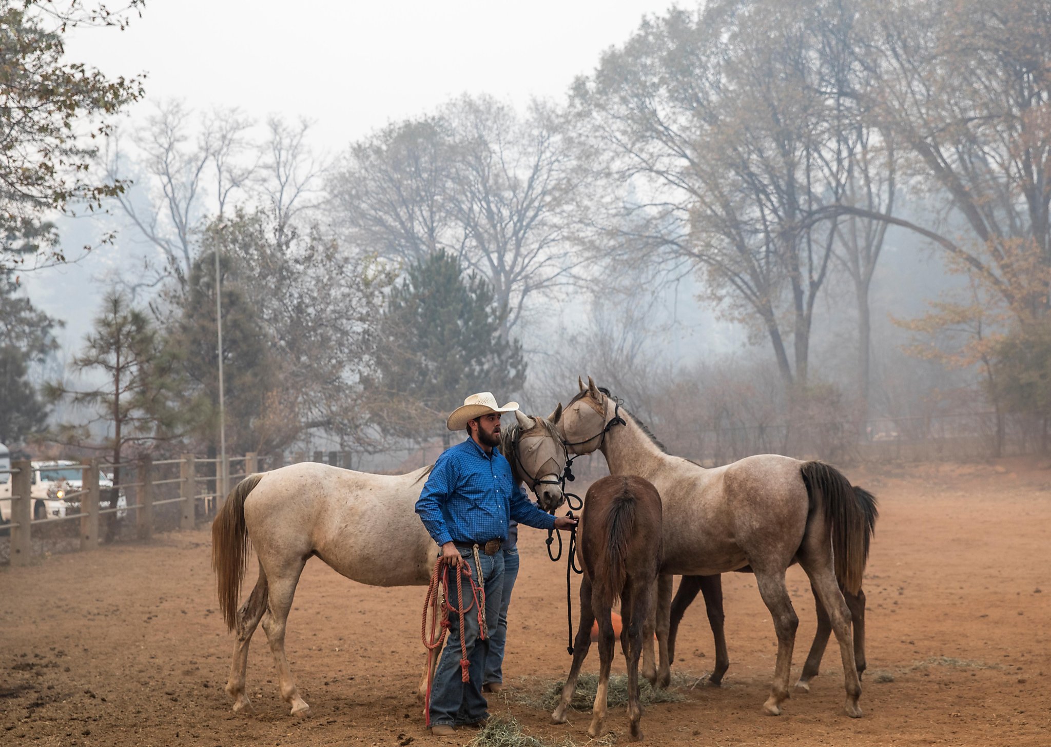 Cowboy volunteers ride to the rescue of horses and other animals from fire area