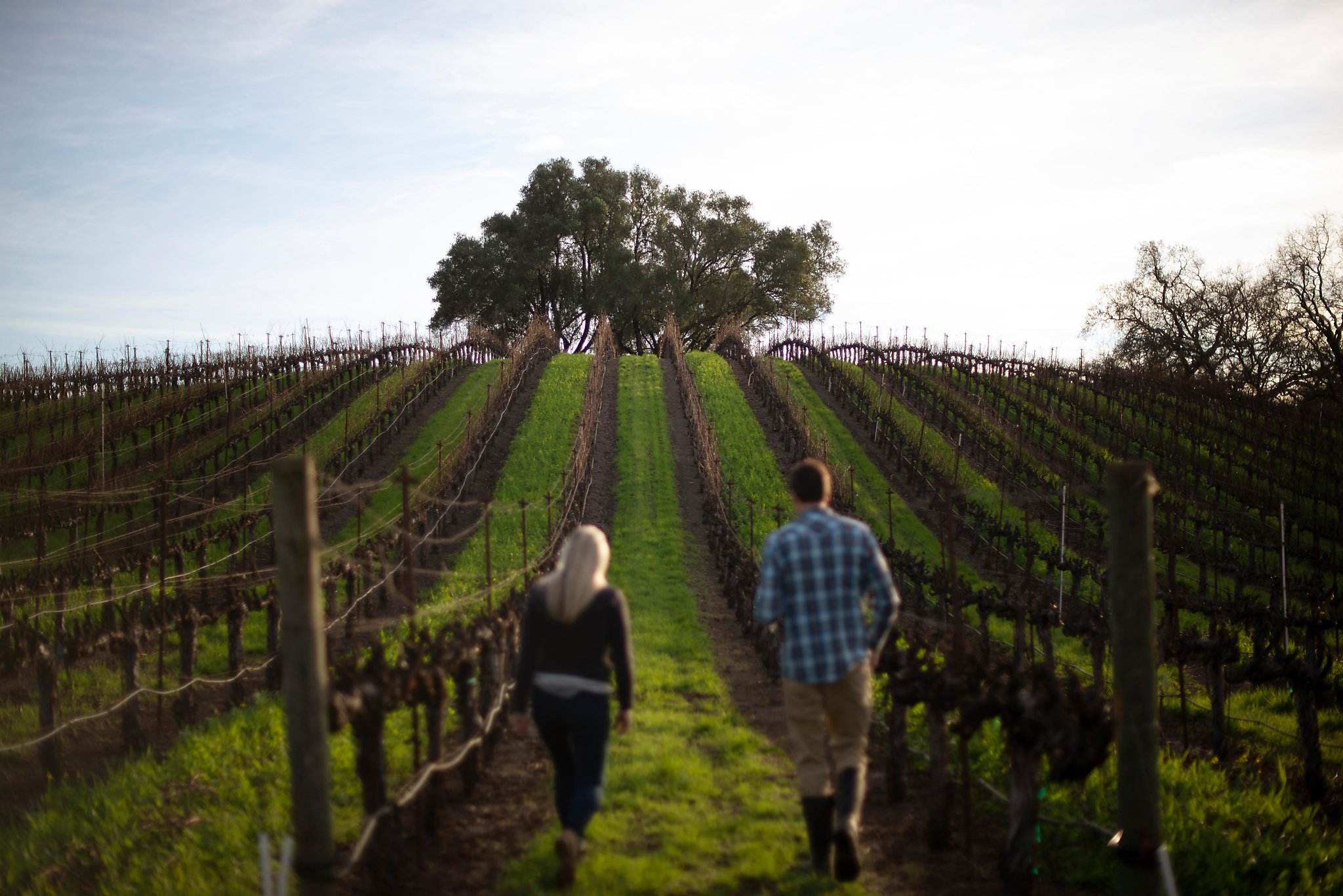 Garden Creek gives a glimpse into small family winemaking