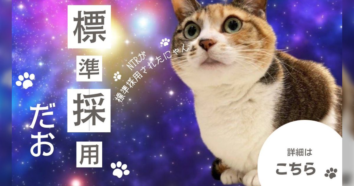 〇〇〇○〇の事なら、〇〇〇～♪ - posfie