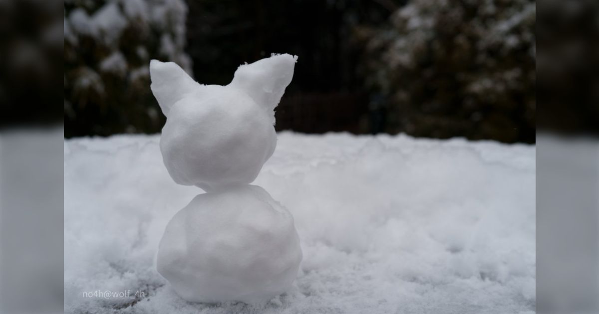 思ったより小さい雪像のまとめができたよー！ - posfie