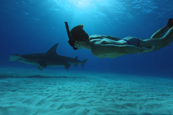 Overcoming the ‘Jaws’ Effect | Penta