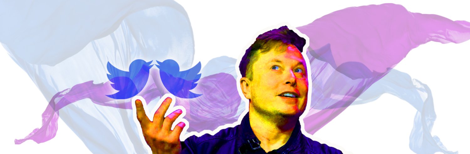 The Elon Effect | THR Web Features | Web Features | The Hedgehog Review
