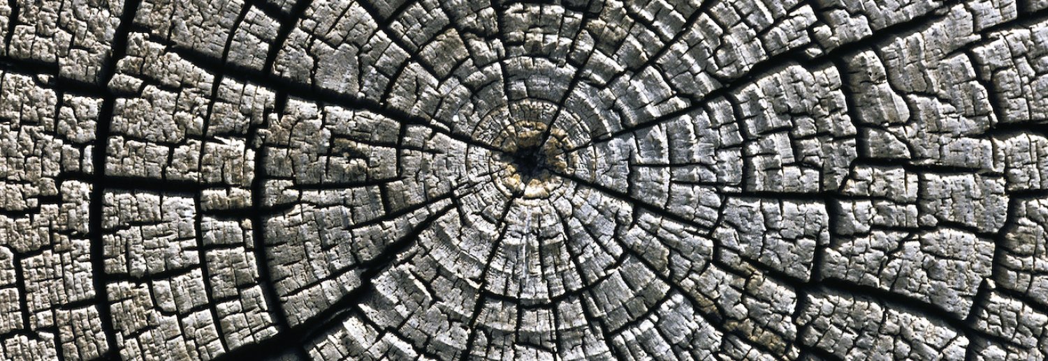 Weak Ontology | Weak Ontologies | Issues | The Hedgehog Review
