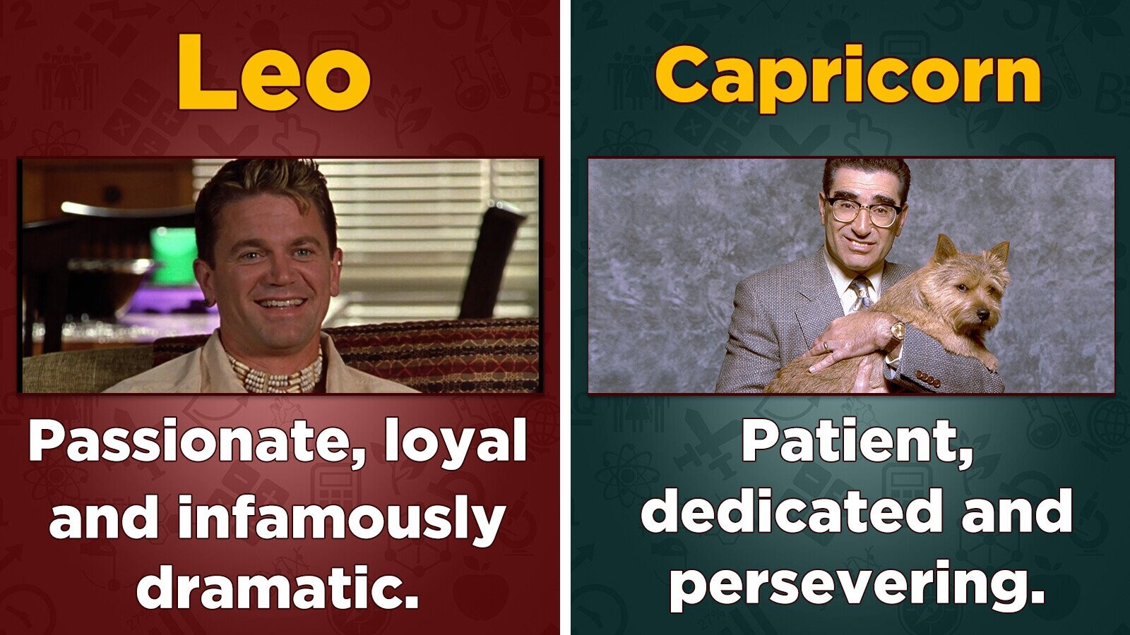 12 Best In Show Characters You Might Be (Based On Your Zodiac Sign) | Cracked.com