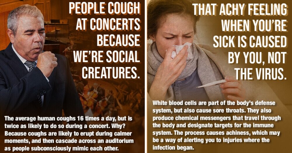 42 Horrifying Human Body Facts We Wish We Never Learned | Cracked.com