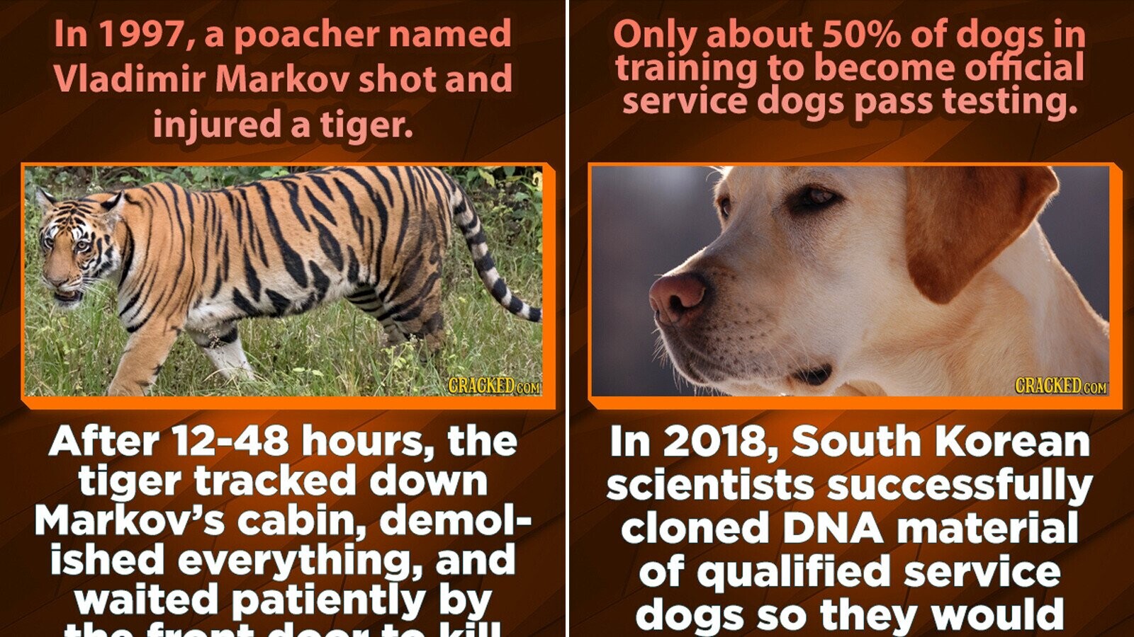 14 Amazing and Strange Animal Trivia Tidbits | Cracked.com
