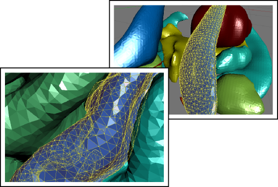 Brain for Blender | Brainder.