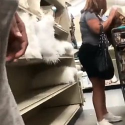 Groping a stranger