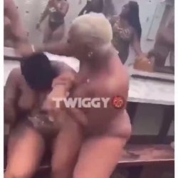 Catfight
