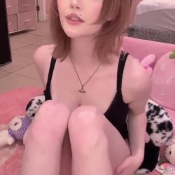 Collection 428