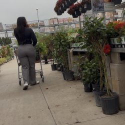 Business pants+phat ass ebony MILF = 😮‍💨