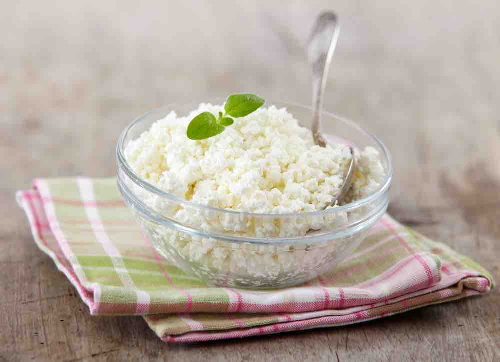 Fromages Vegan : 14 recettes qui vous feront oublier le vrai