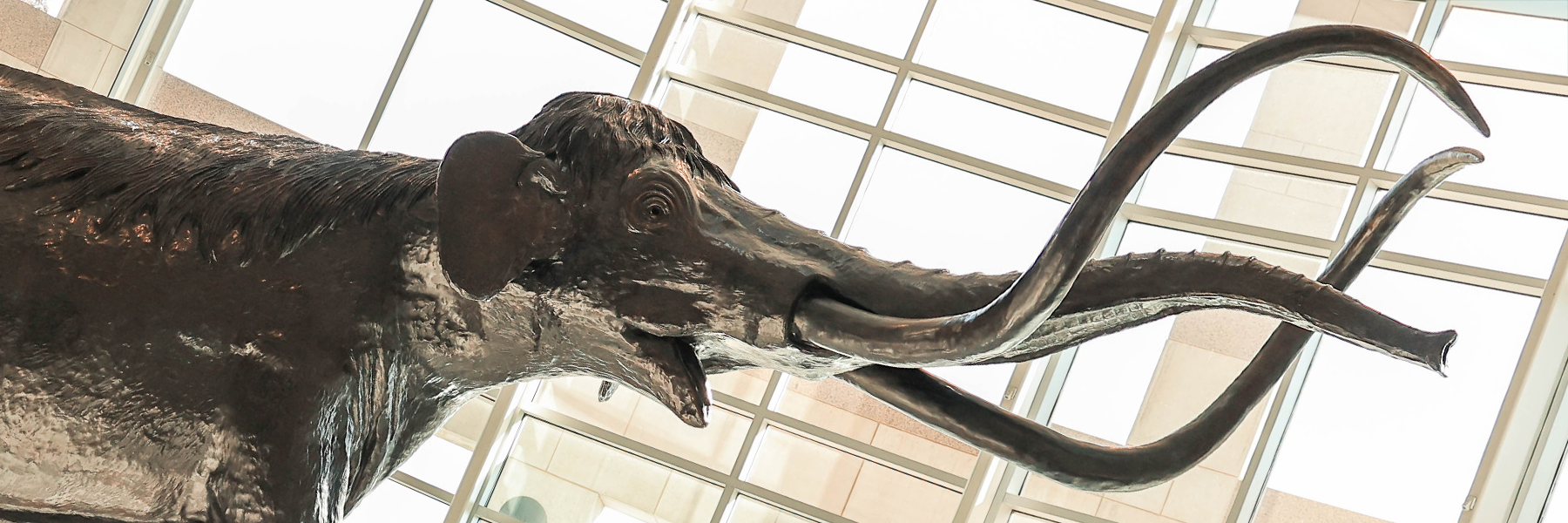 Rates, Policies, and Guidelines - Sam Noble Museum