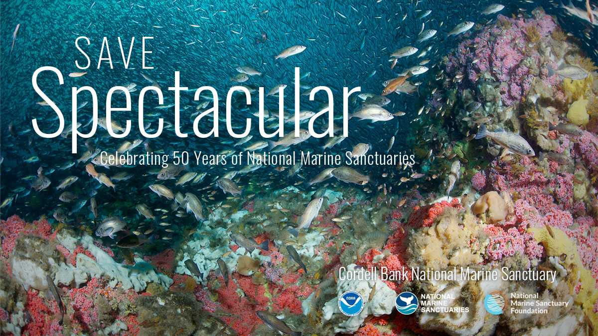 50th Anniversary | NOAA Office of National Marine Sanctuaries