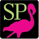 Video Saratoga Partnership