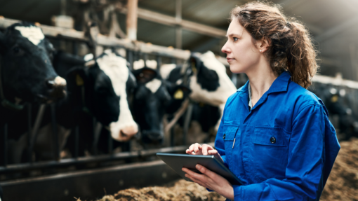 The Costs and Benefits of Mechanization: A Look at the Dairy Sector