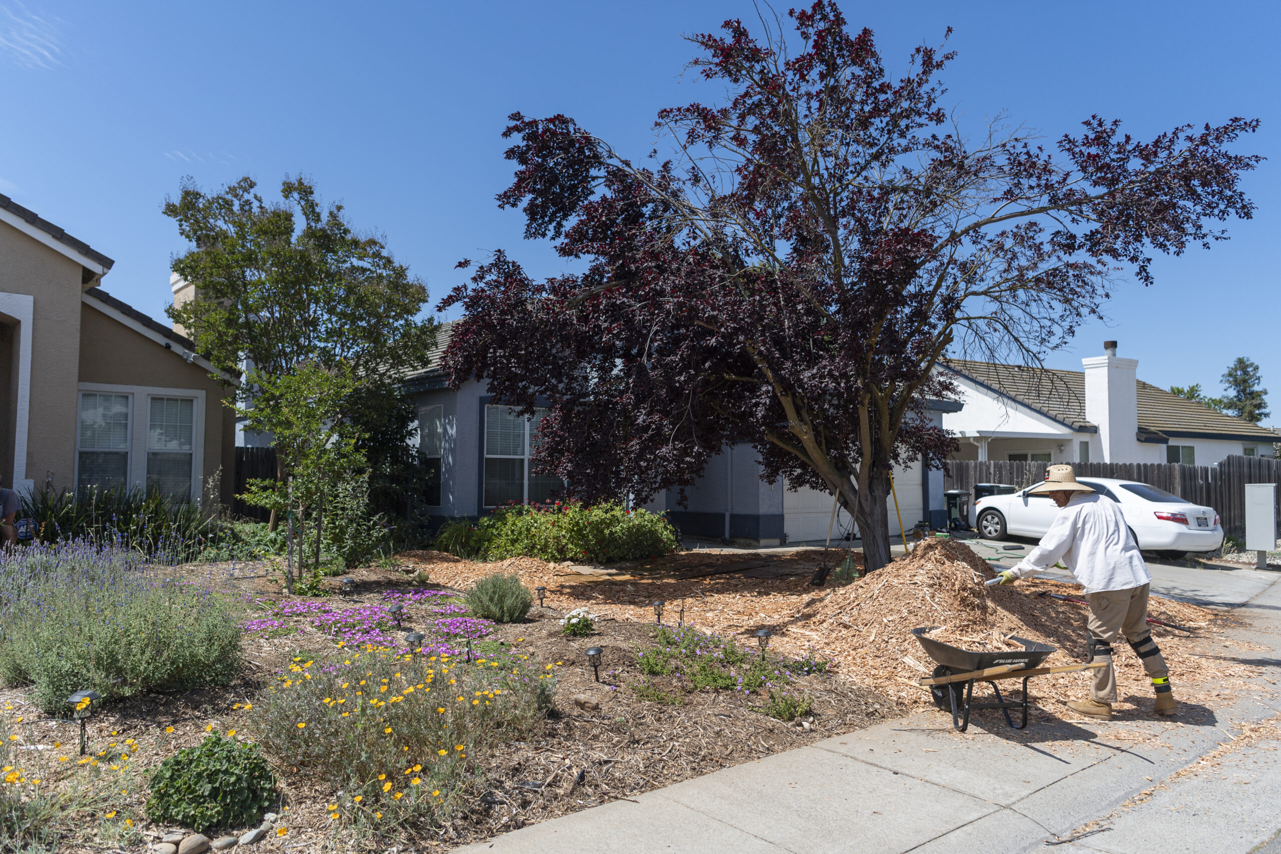Endless Options for a Summer Refresh - Save Our Water, California