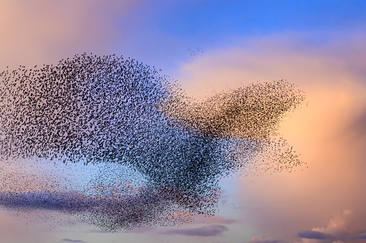 Guest Post — Societies 2030: The Community Advantage in an AI-First World - The Scholarly Kitchen