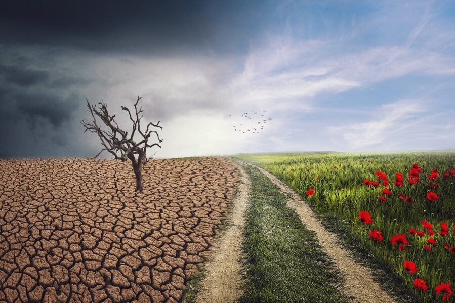 The 1% Problem: World's Richest Create Most Global Warming - ScienceBlog.com