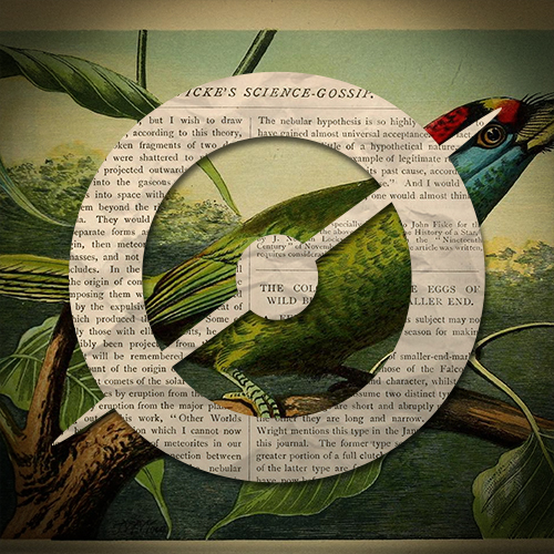 A Year of Science Gossiping | Science Gossip
