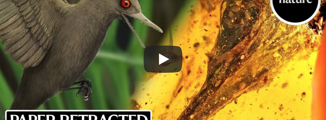 Der kleinste Dinosaurier wurde zur Eidechse » Mente et Malleo » SciLogs - Wissenschaftsblogs