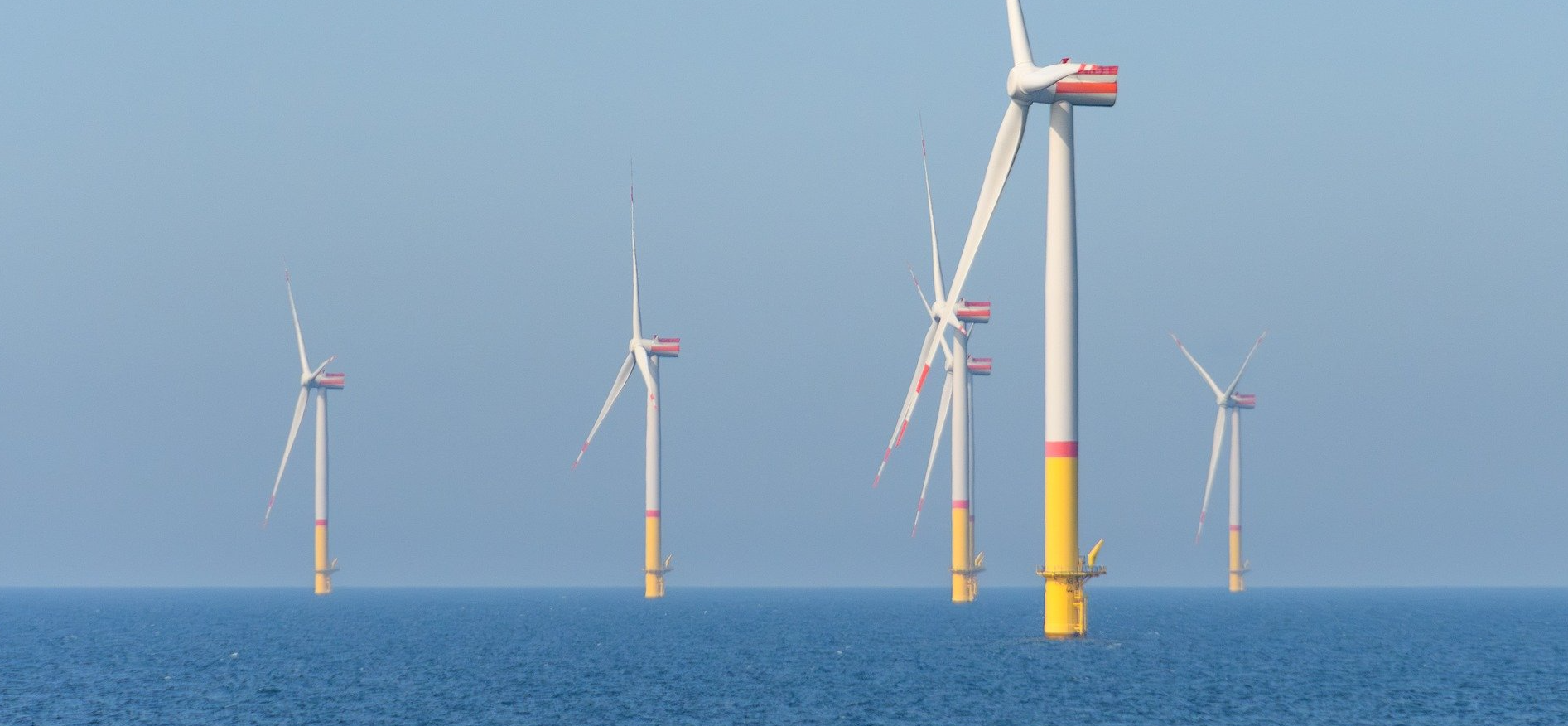 North Sea Summit - cross-border offshore wind planning moves forward but nature remains in the backseat - Seas At Risk