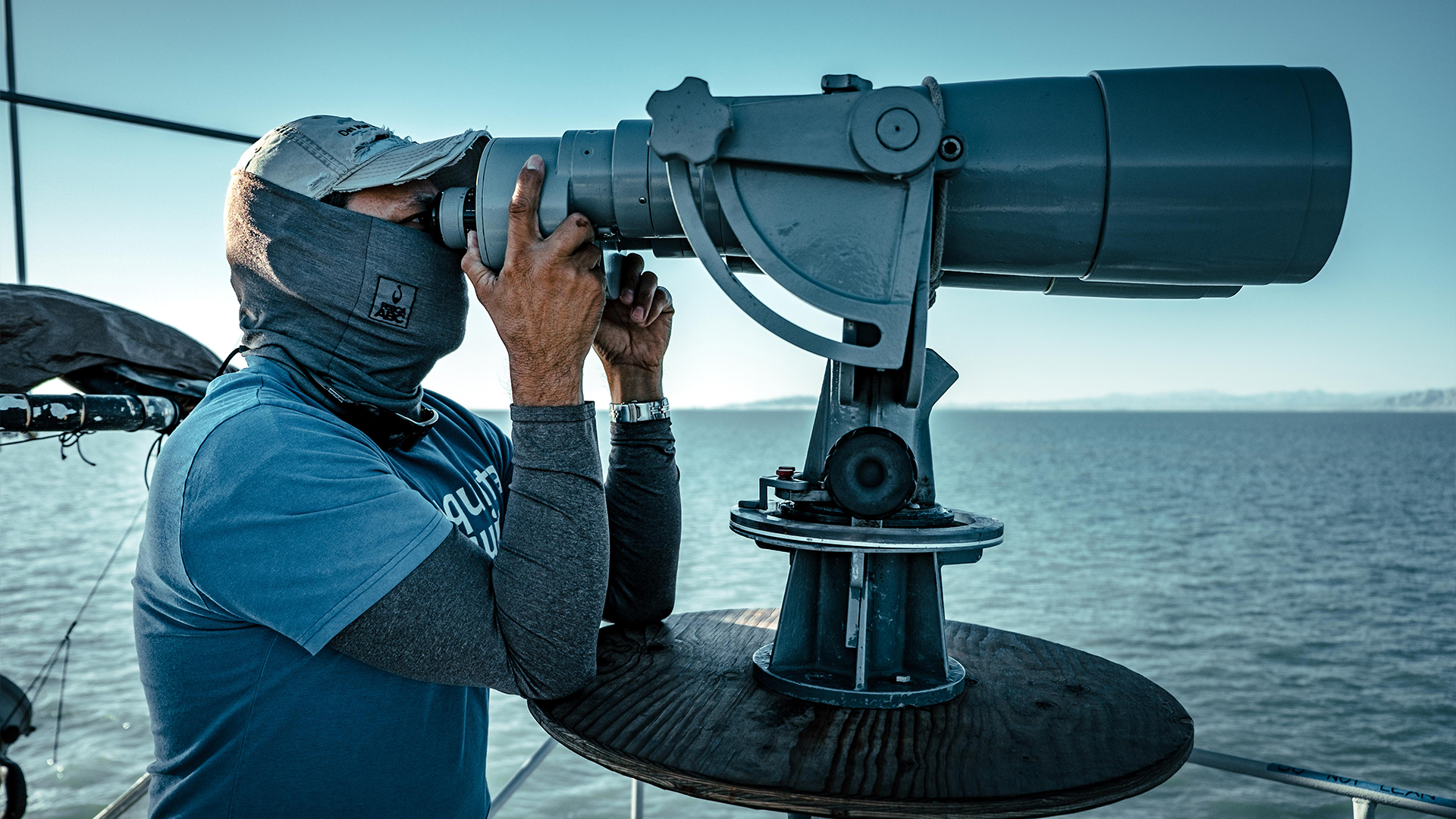Anunciadas las fechas del censo de población de Vaquita de 2023 — Sea Shepherd Conservation Society