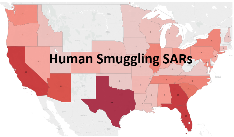 2018 SAR Insights: Suspicious Activity Reports Annual Analysis - Dynamic Securities Analytics, Inc.