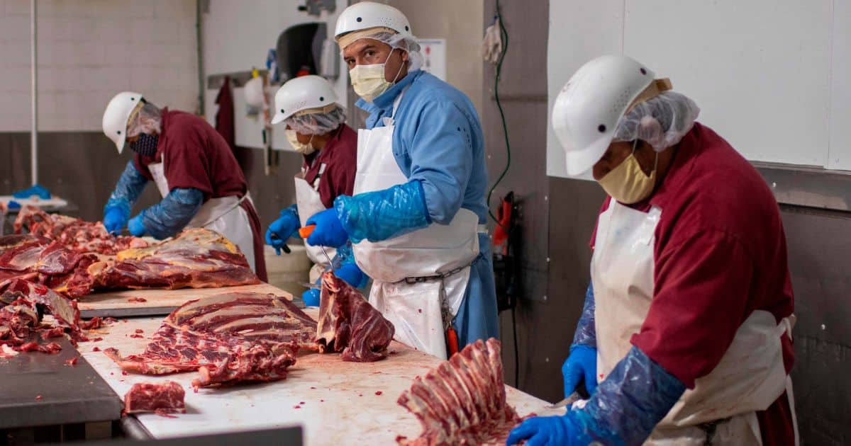 Meat Industry Group Asks Trump to Deregulate Meatpacking and Factory Farms