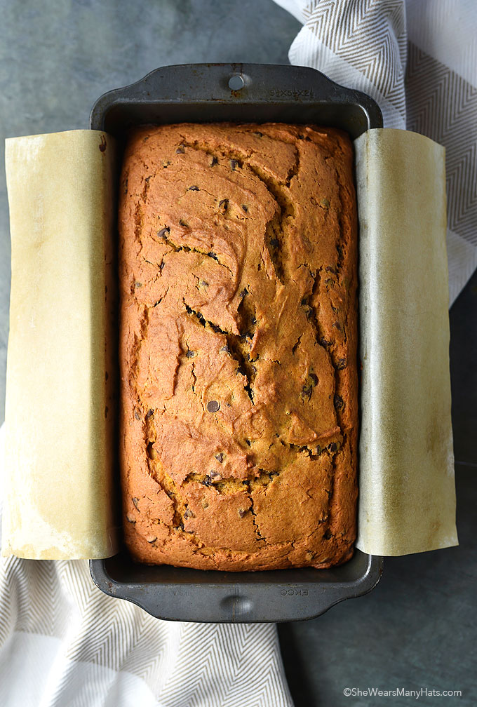 Pumpkin Chocolate Chip Bread Recipe - She Wears Many Hats