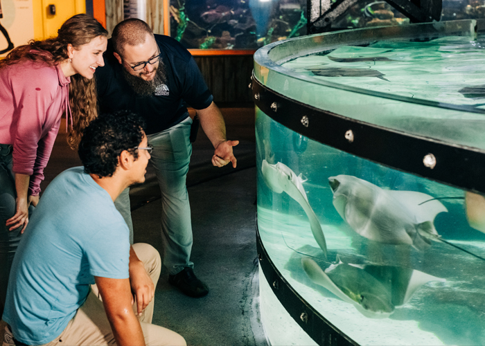 Cleveland aquarium introduces students to jobs in marine sciences