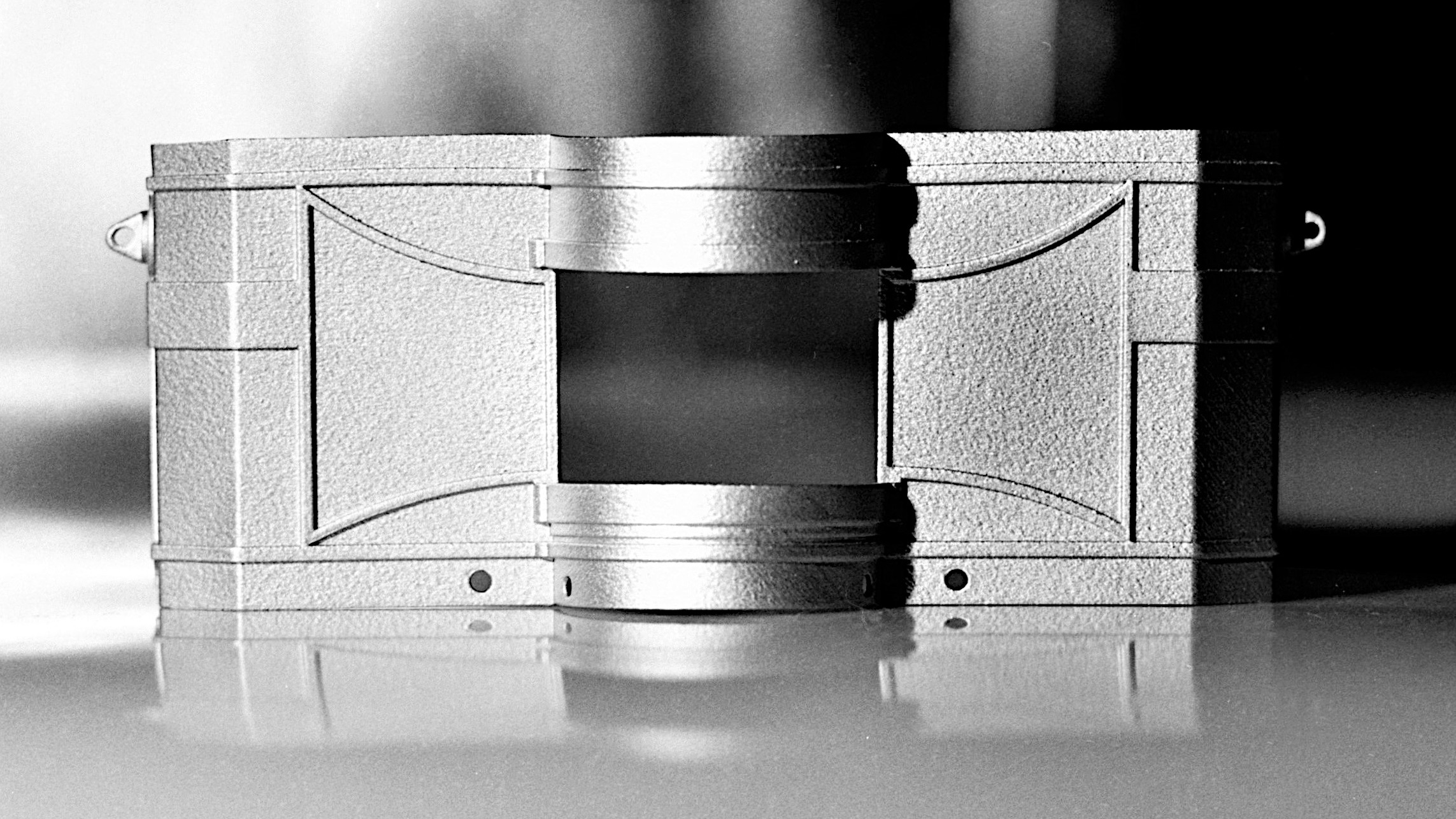 The Widelux Revival Project - Silvergrain Classics