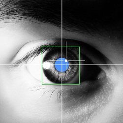 Eye-tracking в 2014 году: Как пользователи взаимодействуют с современной выдачей Google | SiteClinic.ru