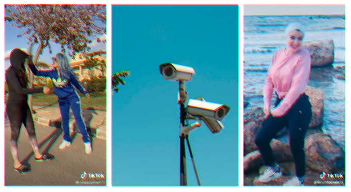 The TikTok Case: A New Platform to Oppress Women in Egypt - SMEX