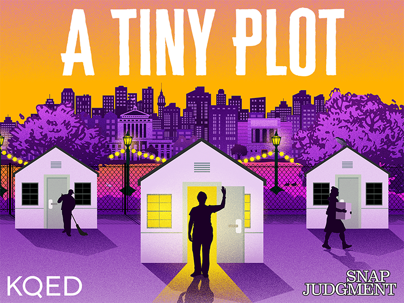A Tiny Plot - Snap Judgment