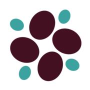 Sonoma Biotherapeutics Announces Positive Interim Safety and Efficacy Data from Phase 1 REGULATE-RA Study of SBT-77-7101 in Refractory Rheumatoid Arthritis | Sonoma Biotherapeutics