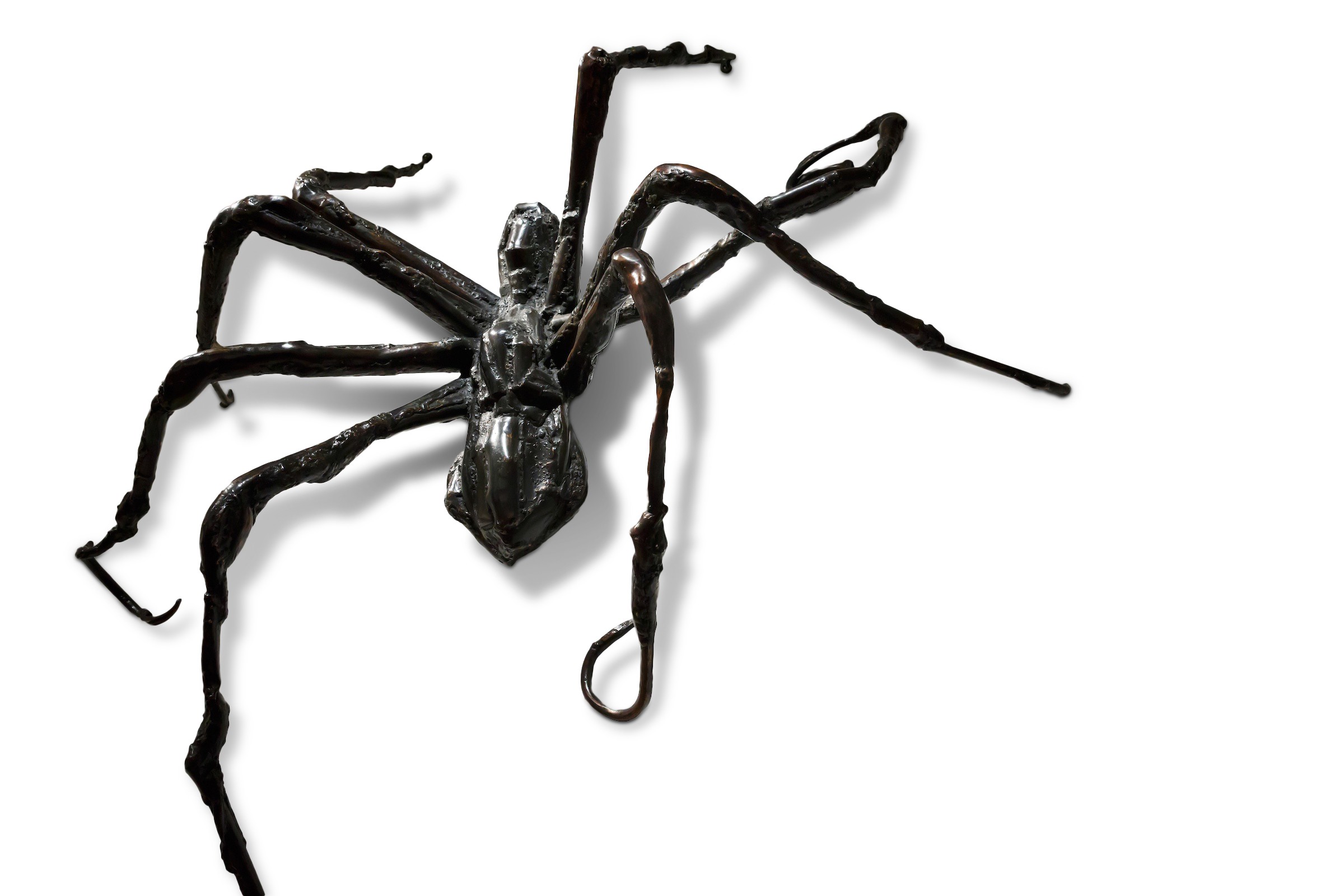 Arachnophilia: Spiders in Art and Folklore | Contemporary Art | Sotheby’s