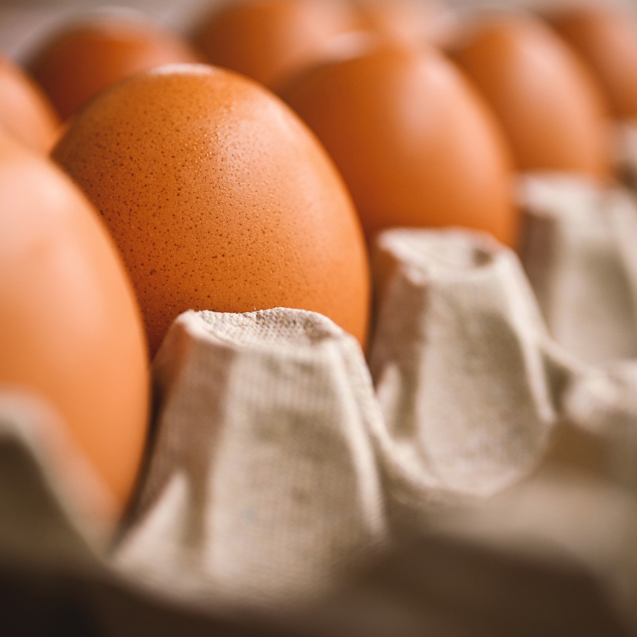 Q&A: How does the avian flu spread and what’s next for the current outbreak? | Colorado State University