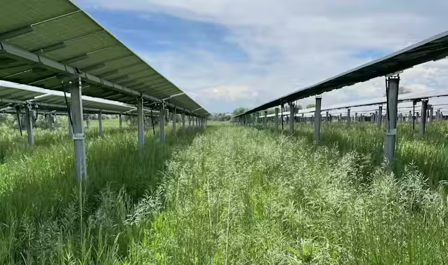 Solar power occupies a lot of space | here’s how to make it more ecologically beneficial to the land it sits on | Colorado State University