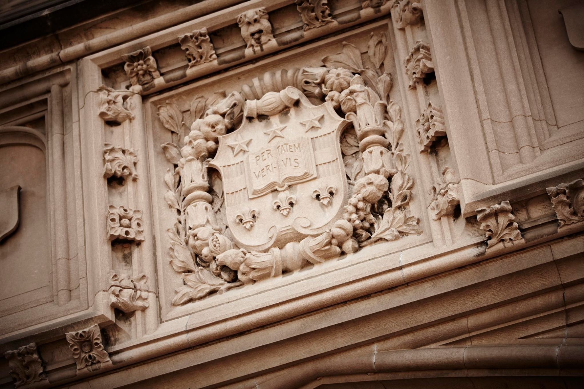 Washington University Statement on Transgender Center - The Source - WashU