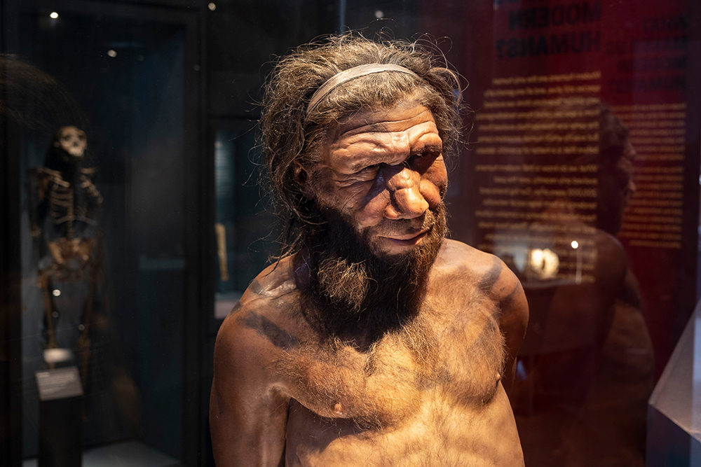 Who wants to bring back the Neanderthals? | The Spectator