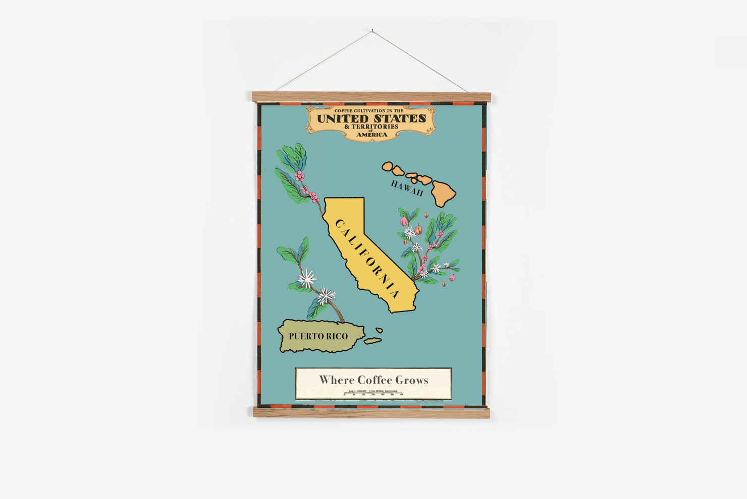 Does Coffee Grow In The United States? | Sprudge Coffee