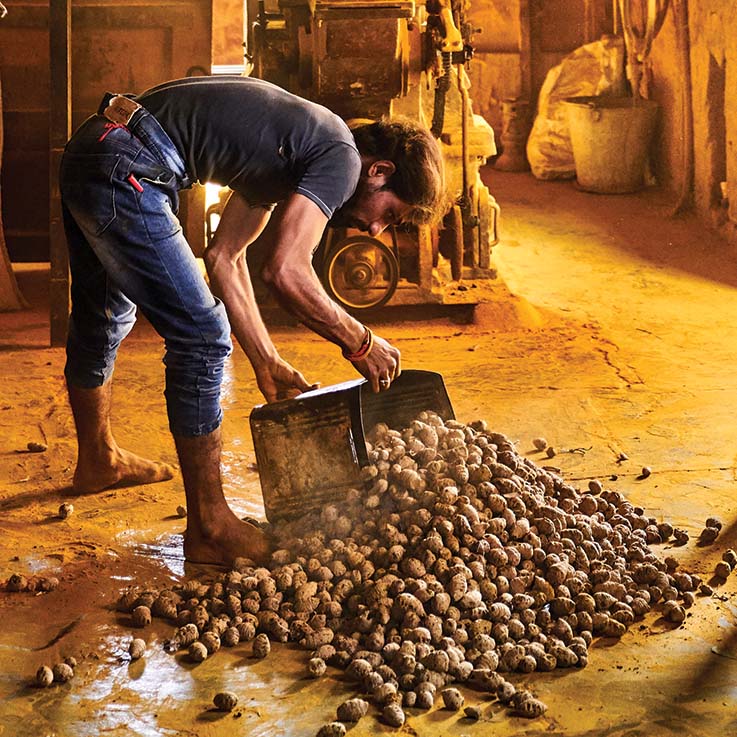 Making the Indian Spice Trade Better for Farmers