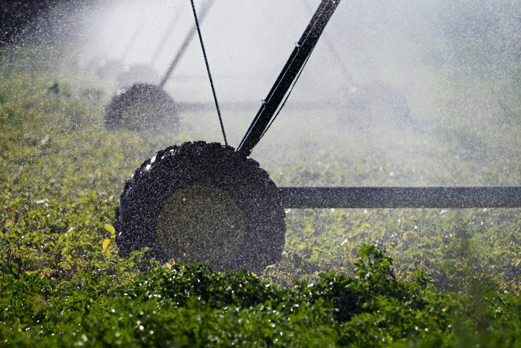 Joint Statement: CBAM fertiliser tax: the final straw that could tip the balance? - Starch Europe