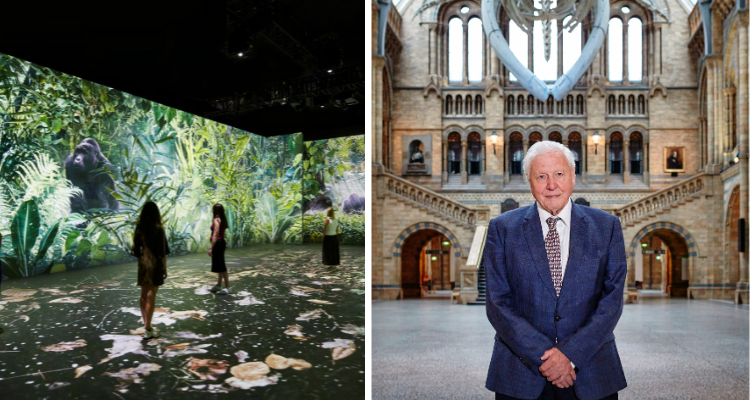 Sir David Attenborough Extends Immersive Experience In London | DesignMyNight