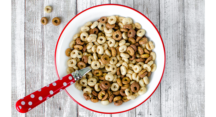 Iron Is the New Cholesterol | ARYAN'S BLOG