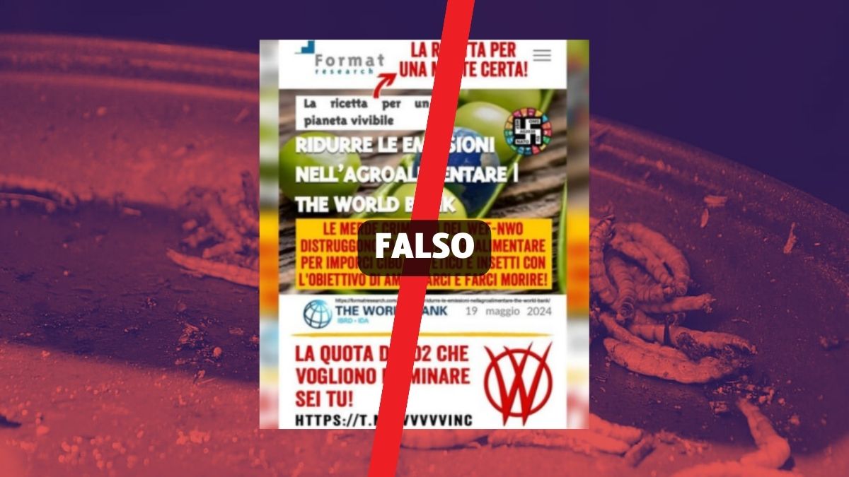 Il World Economic Forum non può imporre di mangiare insetti - Open