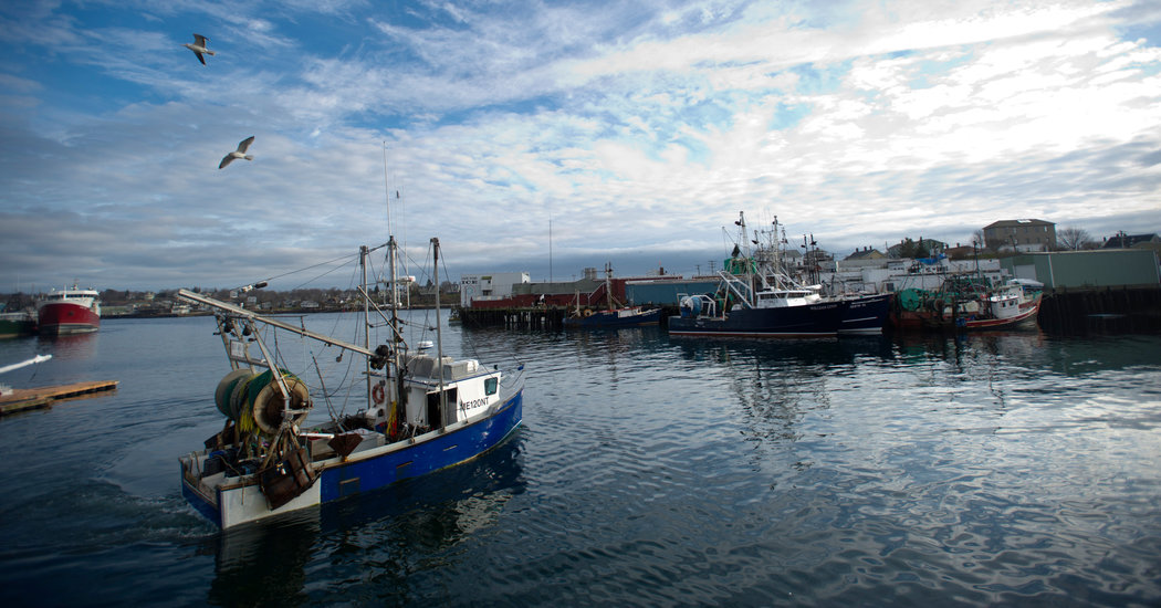 How Dwindling Fish Stocks Got a Reprieve - The New York Times