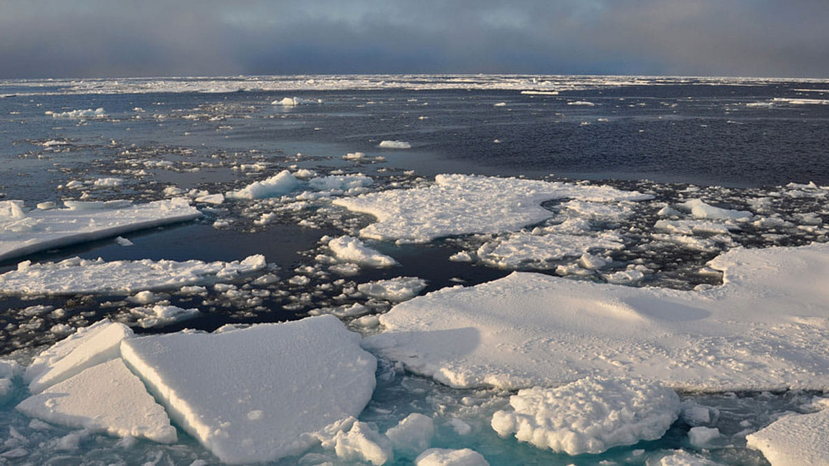 Arctic sea ice has become thinner, reduced by 52% between 2005-07, finds Nature journal report